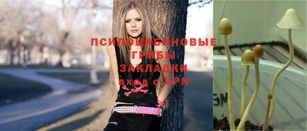 дурь Абаза