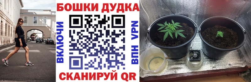 купить  цена  Абинск  Бошки Шишки индика 
